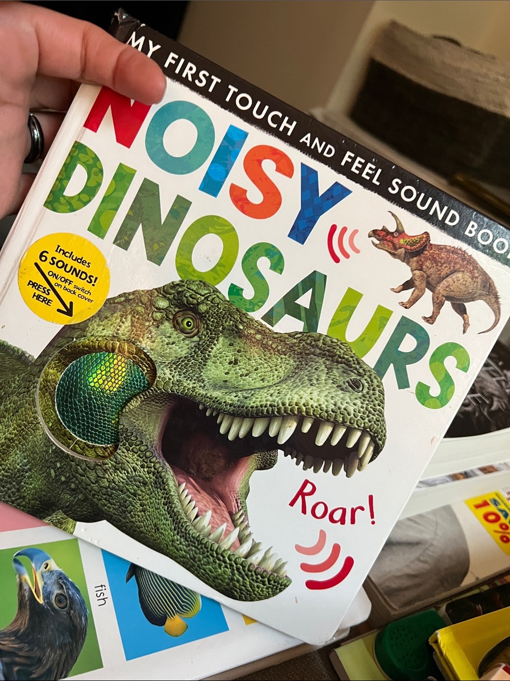 Noisy Dinosaurs: My First Touch and Feel Sound Book By Jonathan Litton Hardcover